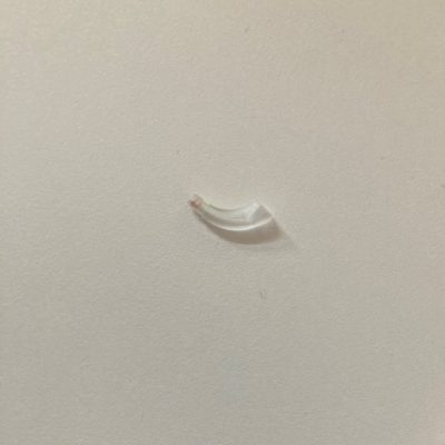 Earhook W. Damper H2860